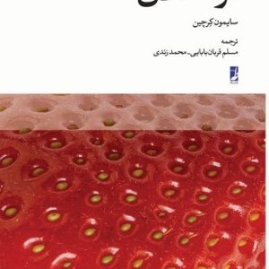 فرااخلاق (کتاب طه)