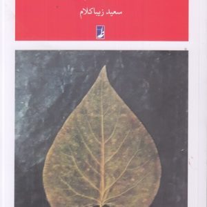 افسانه‌های آرام‌بخش (کتاب طه)
