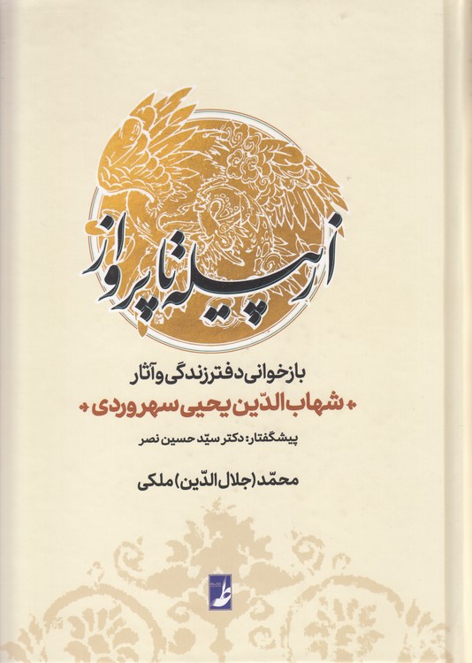 از پیله تا پرواز